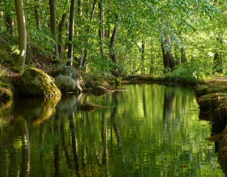Hotel am Kurpark in Malente Dieksee im Wald